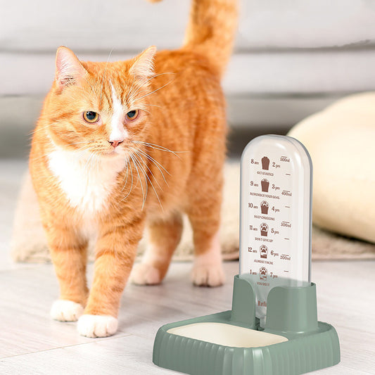 Cat And Dog Drink Fountain Live Water